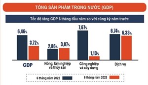 Góc nhìn chuyên gia qua con số tăng trưởng GDP 6 tháng đầu năm (30/06/2023)